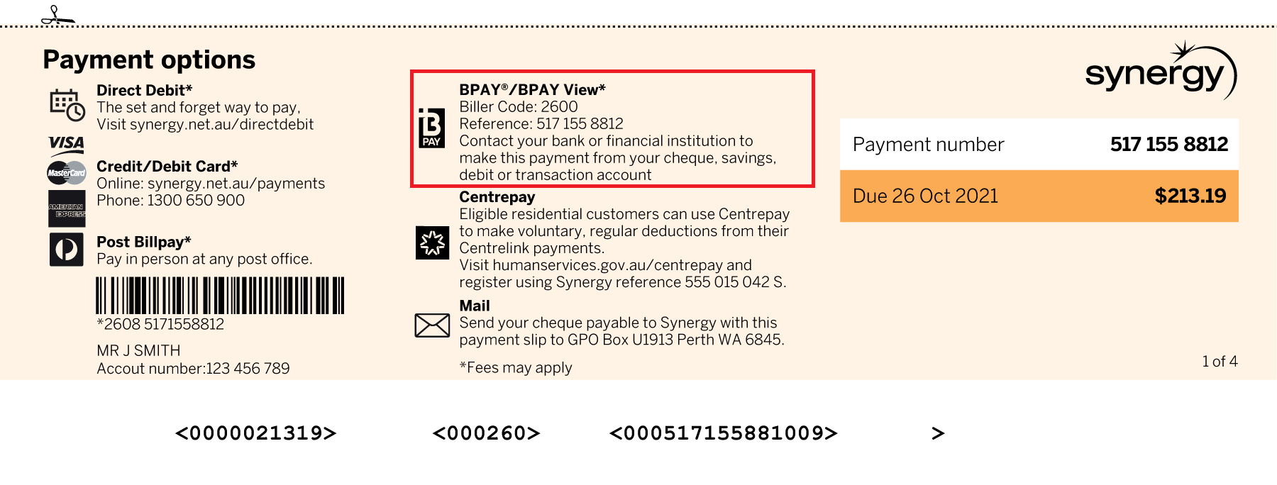 Image showing the payment options section of a Synergy bill