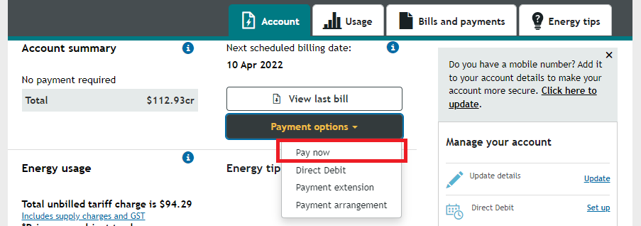 Image showing payment options dropdown in Synergy My Account