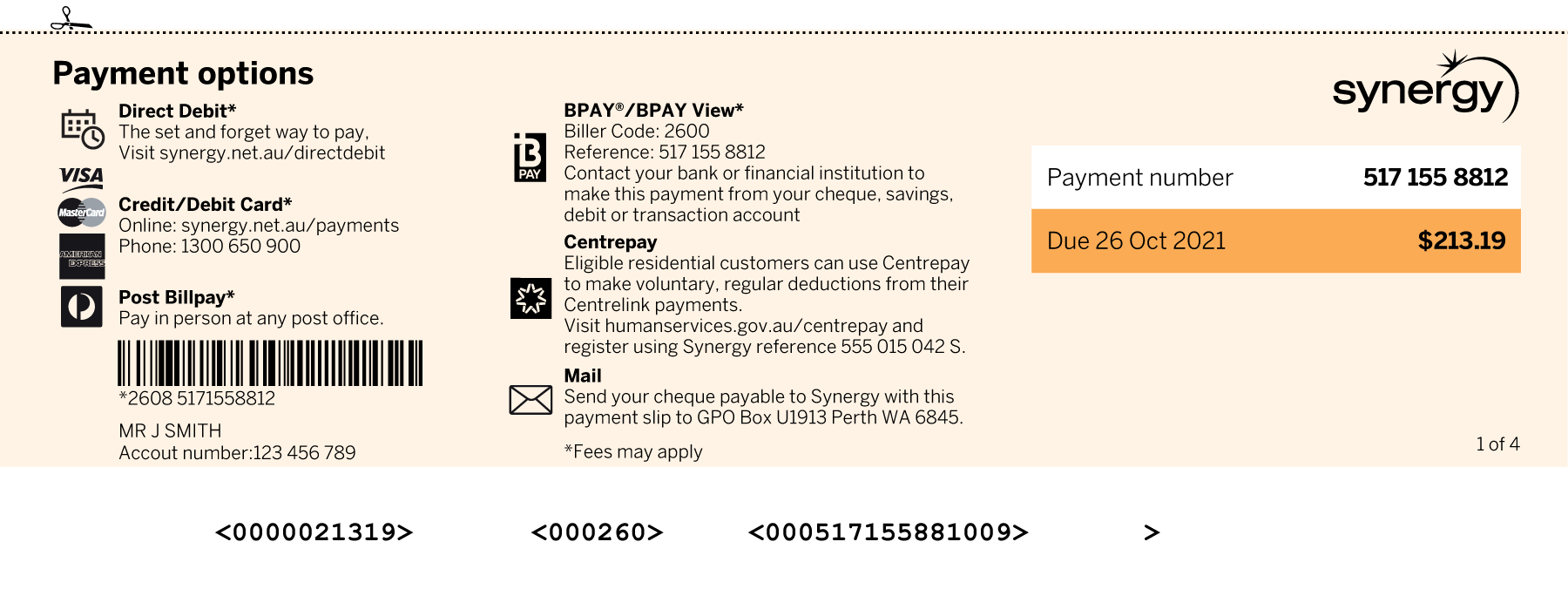 Payment options section of the Synergy bill